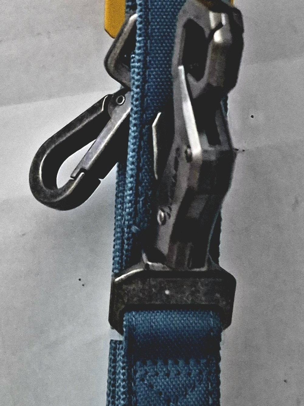 Carhartt Field Dog Leash - Large (6ft x 1in) Marine Blue NWT